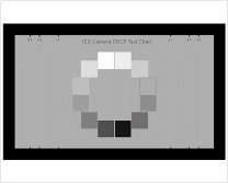 1754981436840(1).jpg