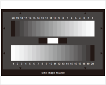 1755141837808.jpg