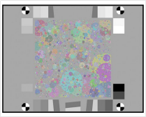 1755162429884.jpg