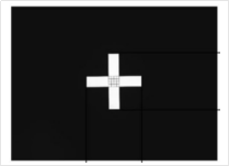 1755165662652.jpg