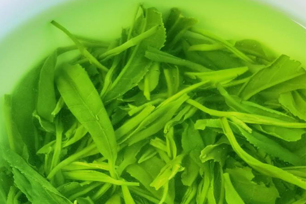 液体台式分光测色仪用于绿茶茶汤色泽品质检测